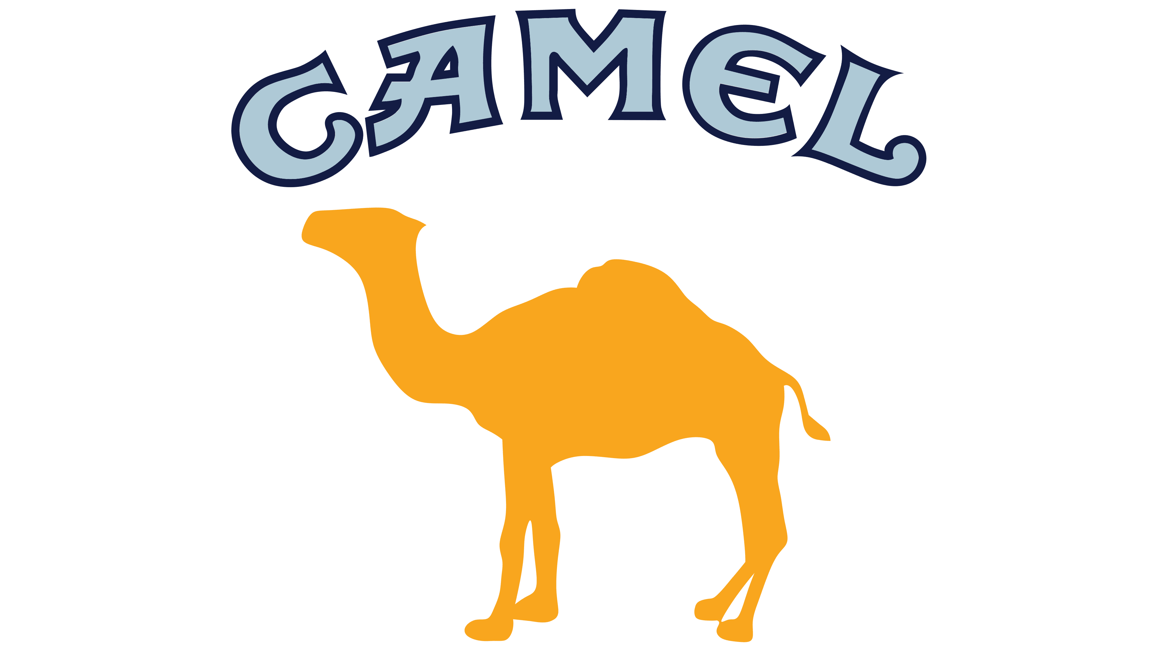 Camel